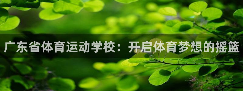 凯发官方正版app科技:广东省体育运动学校:开启体育梦想的摇