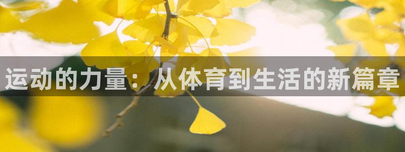 凯发官方正版app集团官网首页:运动的力量:从体育到生活的新